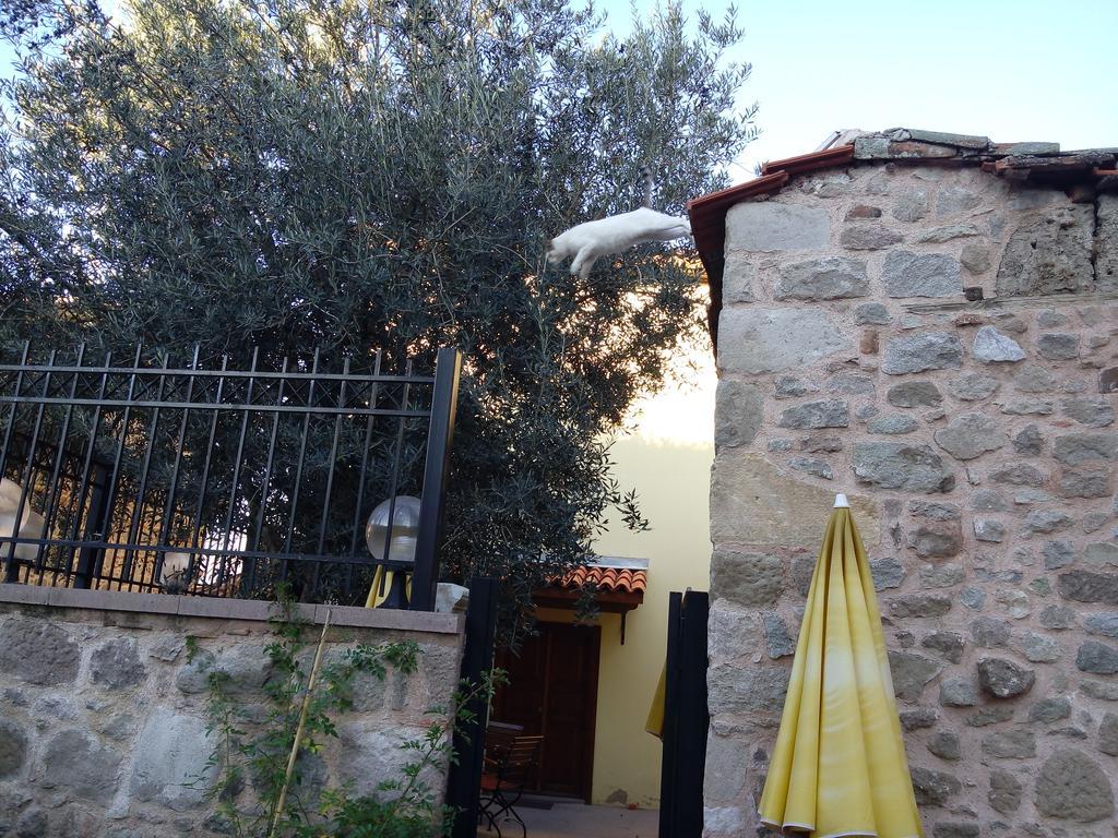 Aristonicus Boutique Hotel Bergama Eksteriør bilde